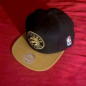 Toronto raptors hat